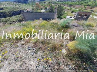 Maison à Nogalte. Oportunidad única  finca de 80.000 m en paraje nogalte, con casa