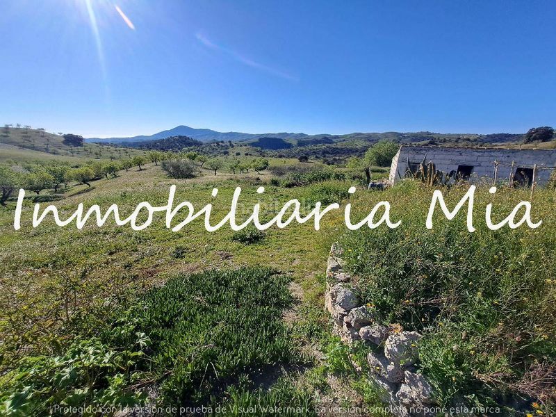 Foto 5b6737a6-74d1-4967-b9e6-55b215ac1993. Casa amb aparcament a Vélez - Rubio