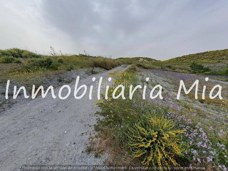 Foto 7c3d612f-0726-410f-89ac-1366a884416f. Casa a Bejar Lorca