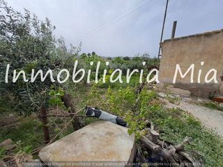 Residential Plot in Puerto Lumbreras. Gran oportunidad! finca con 100 olivos aprox.!