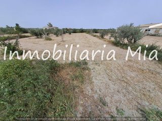 Terreno residenziale in Puerto Lumbreras. Gran oportunidad! finca con 100 olivos aprox.!