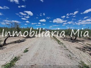 Casa en Puerto Lumbreras. Se vende finca con diversas oportunidades de productividad!