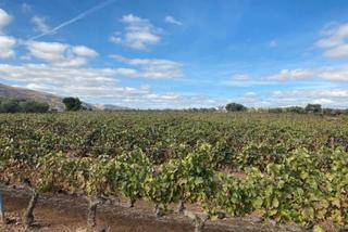 Bâtiment à usage industriel à Centro