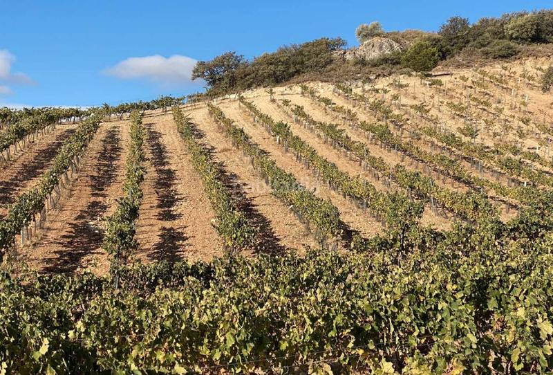 Foto 6fb7276c-5065-46eb-8194-f79cfd04a831. Landgut in Centro Antequera