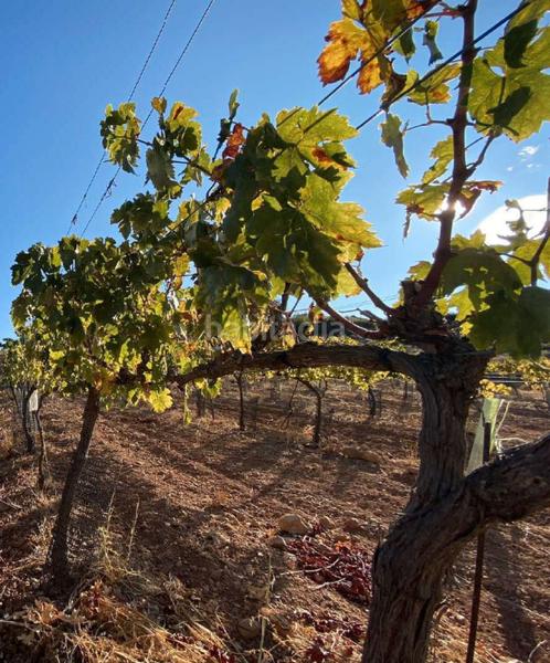 Foto ddd6e5ed-5965-46be-a0ed-173cd940f947. Landgut in Centro Antequera