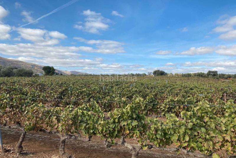 Foto fa647aed-17fa-49b2-a7f9-13c6a72aeb64. Landgut in Centro Antequera