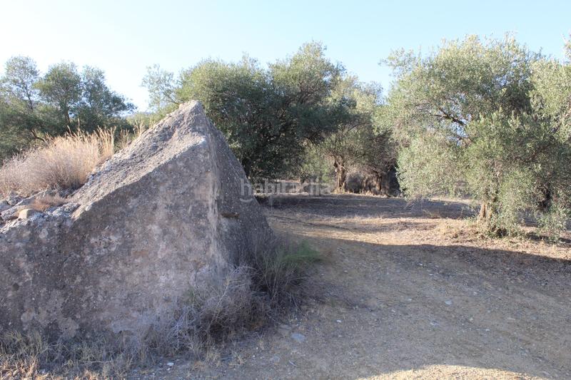 Foto 0349e31c-6f3f-44b9-be7b-6b2218e61481. Finca rústica a Álora