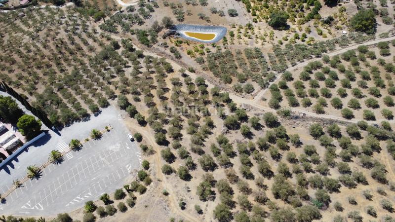 Foto 11004e0f-b249-48cc-aafd-db40ba0e66b6. Finca rústica a Álora