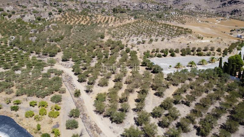 Foto 4b4104e7-9bc7-415c-a419-f6728283a5b2. Finca rústica a Álora