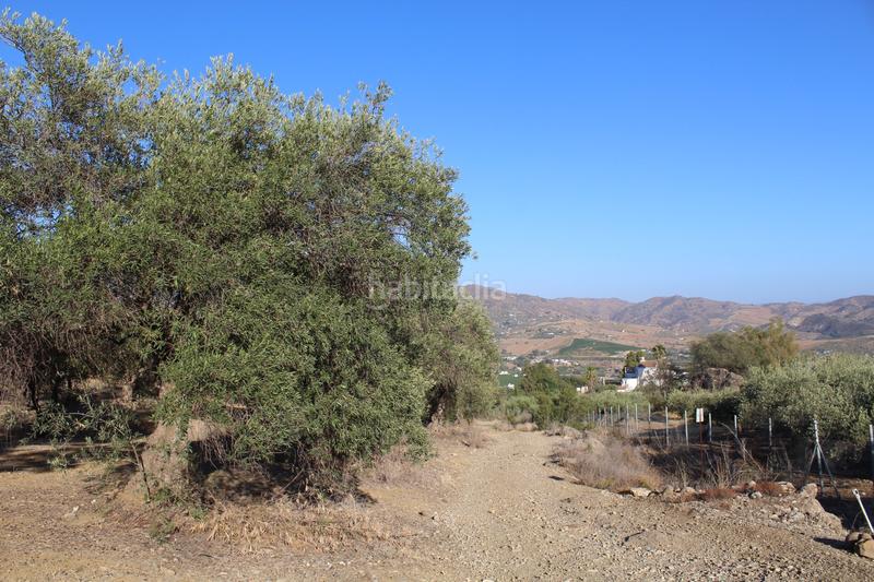 Foto 55cbbf88-a1ad-4cea-aaab-b542cbecf8e3. Finca rústica a Álora