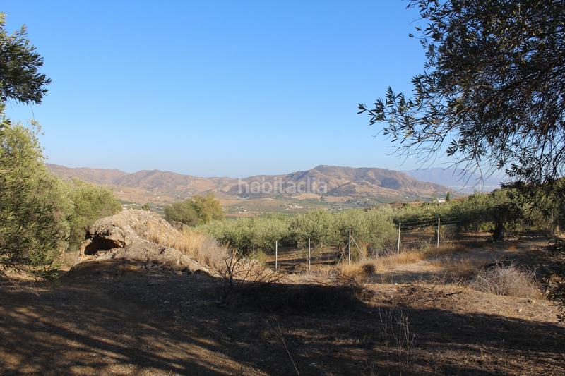 Foto 65920193-85f5-43f5-b6cc-8a3c62f6b091. Finca rústica a Álora