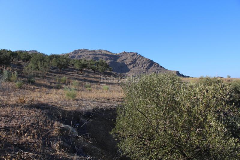 Foto 76292f8a-e3df-410b-ac1f-88a283d676b9. Finca rústica a Álora