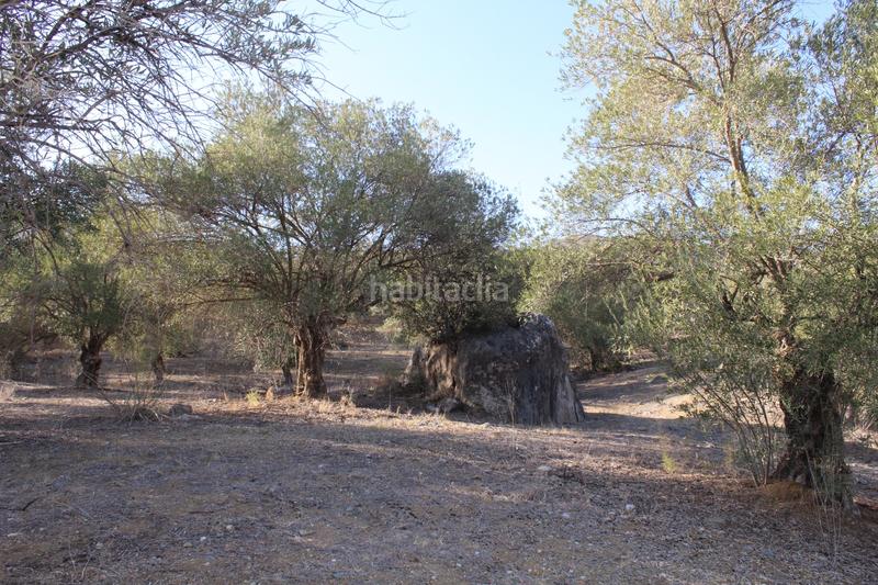 Foto 7c067726-aef5-4fc6-8d4c-b014f64d8eea. Finca rústica a Álora