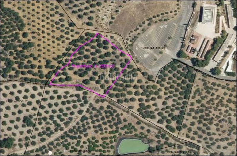 Foto 89d139db-4e6c-4e6e-8f5e-343dae5e5adc. Finca rústica a Álora