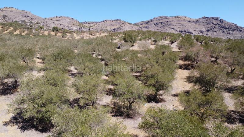 Foto 8dcc50f9-1423-4fbc-bafc-06875857e36f. Finca rústica a Álora