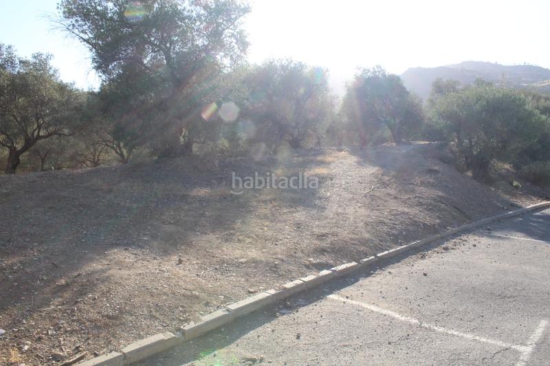 Foto 989a9c86-5835-4c65-90c3-53e40cc19ca4. Finca rústica a Álora