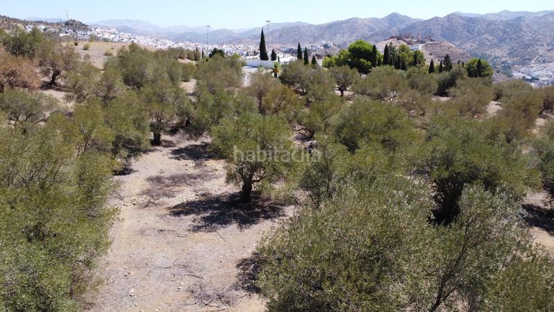 Foto baf74463-2f44-441a-b858-9065a4910eaf. Finca rústica a Álora