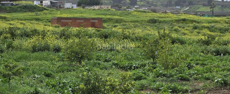 Foto 629968fc-ef69-43f5-a916-466b1b52e476. Masía finca en venta en villafranco del guadalhorce en Cártama