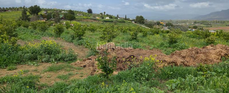 Foto 659cdcf9-fe5b-4eb2-9e22-bcdbf6dd1abc. Masía finca en venta en villafranco del guadalhorce en Cártama