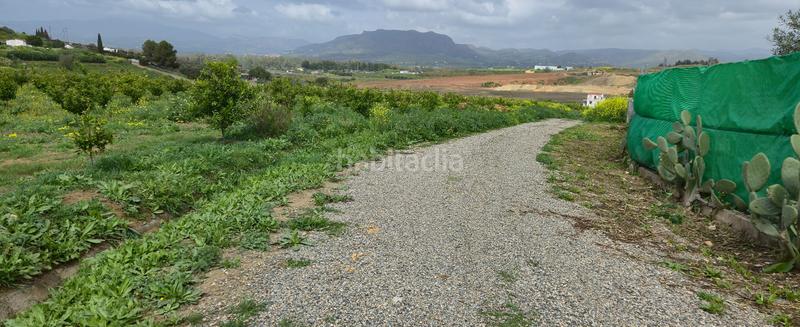 Foto 7cebe4a0-d5bc-4638-87c4-50cdc3dd3b3e. Masía finca en venta en villafranco del guadalhorce en Cártama