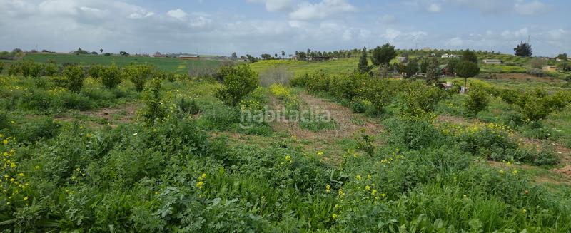 Foto 7fd8dadd-bb21-4fcb-97d2-33bee4d845f8. Masía finca en venta en villafranco del guadalhorce en Cártama