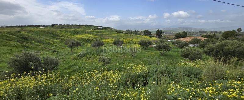 Foto 87cfdb56-c3da-4b67-a1ea-0fb453be10d3. Finca rústica a Cártama