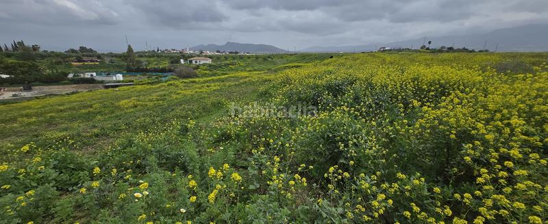 Foto b2afd377-8293-493a-9193-983b5ddd61af. Finca rústica a Cártama