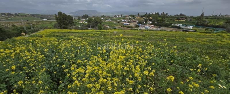 Foto d1e6483e-309c-496e-9064-5b33f516e582. Finca rústica a Cártama