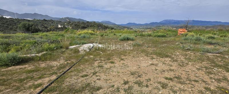 Foto 1932aad4-a1ad-4782-90e0-53849aec7c7b. Finca rústica a Coín