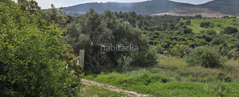 Foto 288fde6c-2dfa-49c5-8b06-8d8cfb7957bd. Finca rústica a Coín