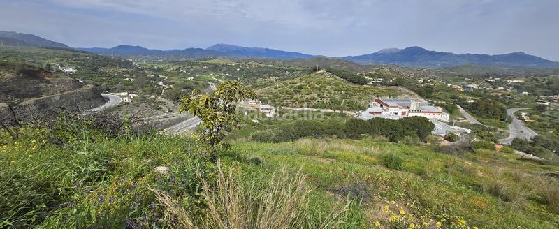 Foto 7eb2b097-bf8f-48b1-94fb-b1b9a294a3e5. Finca rústica a Coín