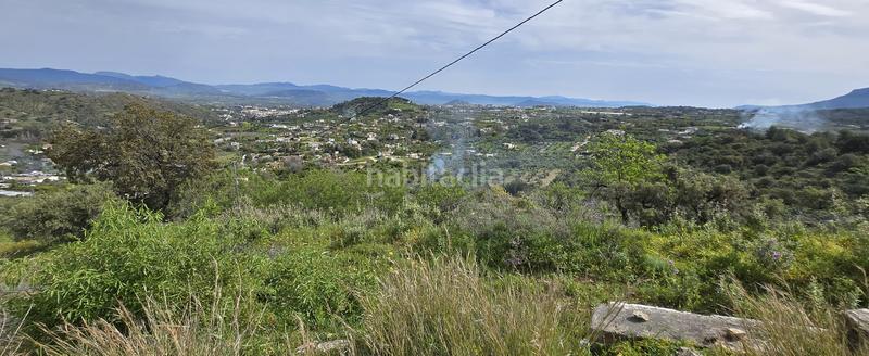 Foto aac01571-9fc2-45e9-a788-3c38338834b2. Finca rústica a Coín