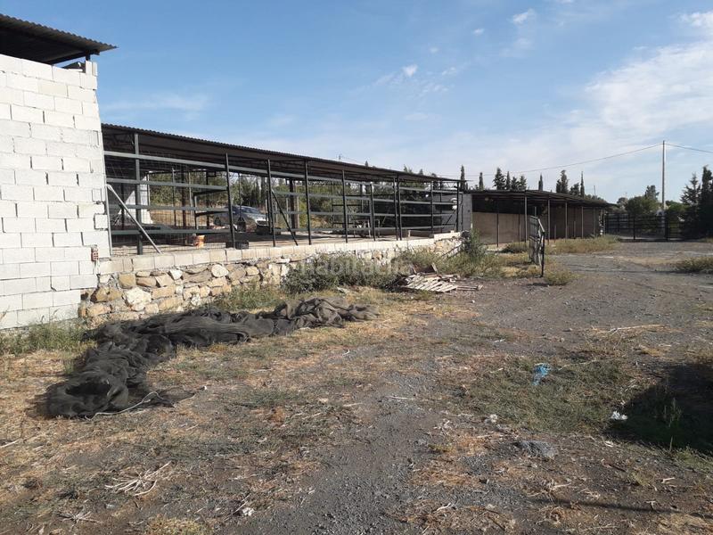 Foto 26a628cc-9fab-4ec7-9089-06e288167473. Rural plot in Cártama