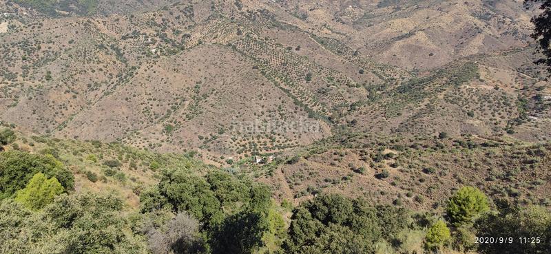 Foto a494f1d9-7678-4ec1-aba2-f4e80e4d1a2d. Fondo rustico in Monda