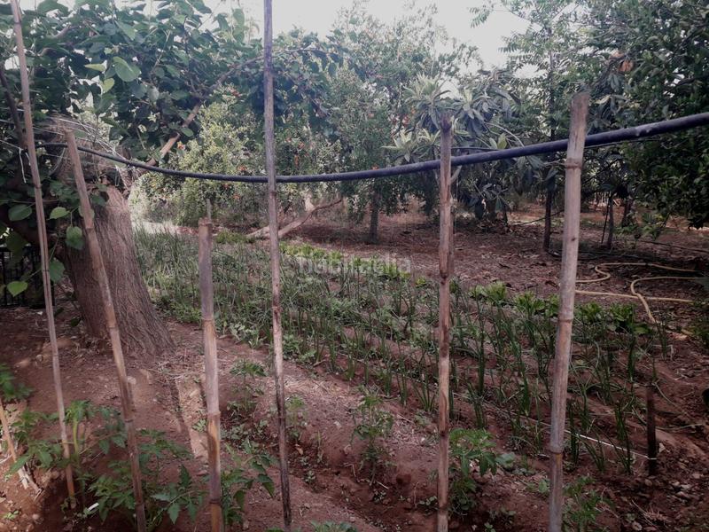 Foto 03b46fb1-dff2-4fa6-81ea-2e41fb459580. Finca rústica parcela en venta en alhaurin de la torre en Alhaurín de la Torre