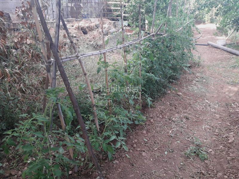 Foto 4c05d625-1162-40f0-9299-e6e9600155ab. Finca rústica parcela en venta en alhaurin de la torre en Alhaurín de la Torre
