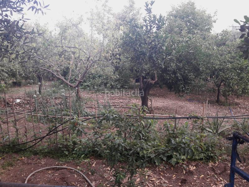 Foto 8de0320a-93d6-417b-98ee-351e12228c98. Finca rústica parcela en venta en alhaurin de la torre en Alhaurín de la Torre