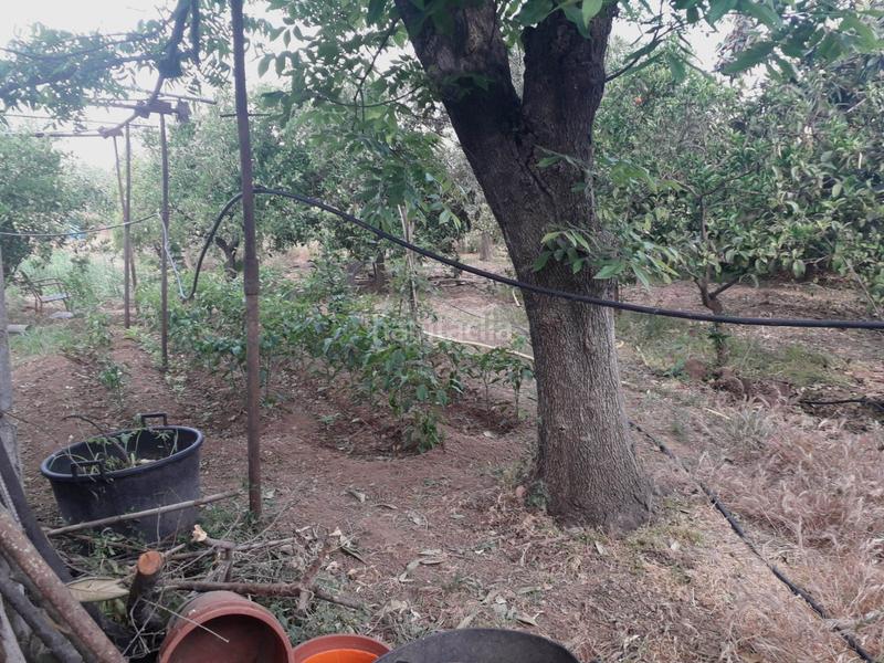 Foto 9d8d22bf-92c8-4ee1-8b67-60494d2be9c4. Finca rústica parcela en venta en alhaurin de la torre en Alhaurín de la Torre