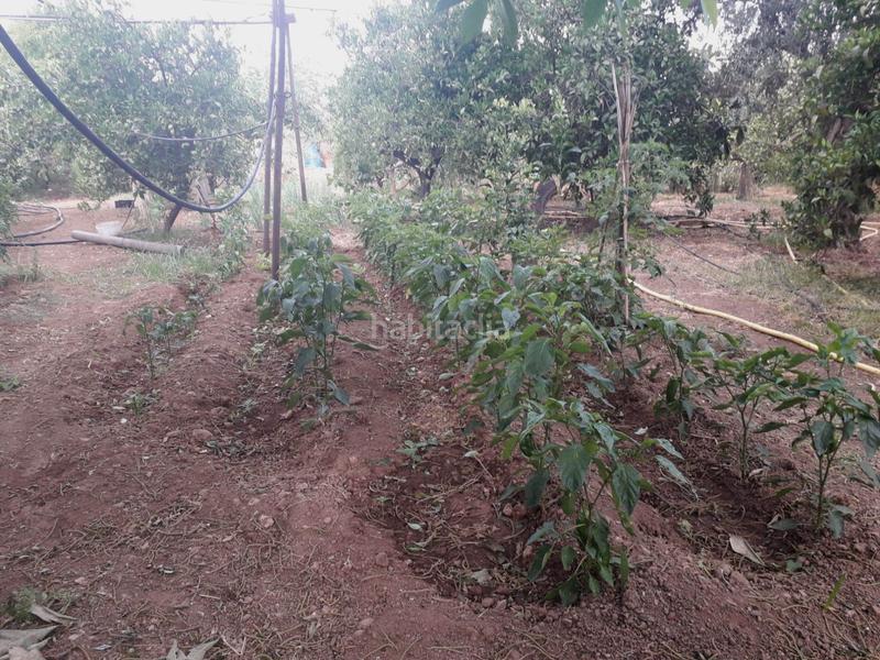 Foto ebf2c660-021d-4c07-a95d-6584c8933648. Finca rústica parcela en venta en alhaurin de la torre en Alhaurín de la Torre