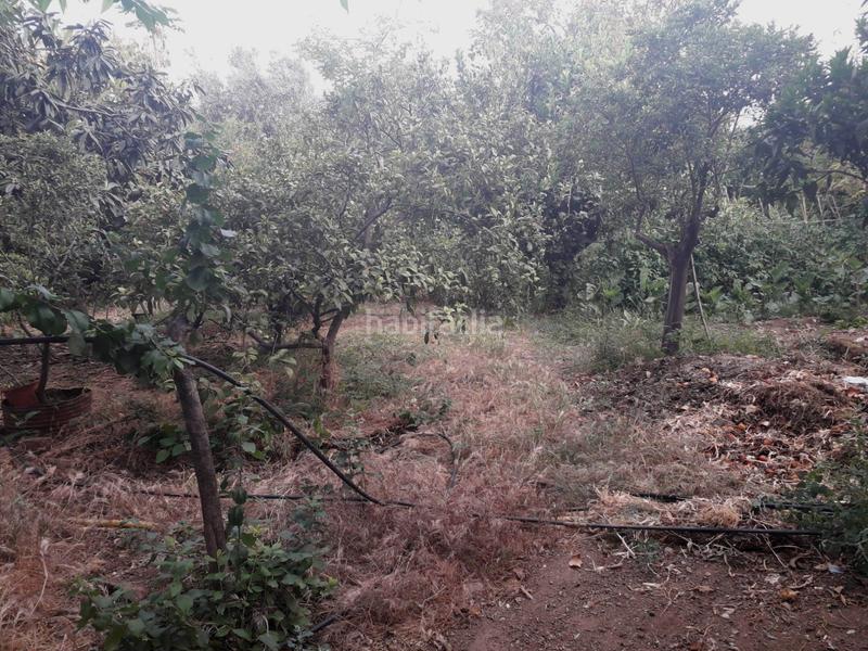 Foto fa1eb1fe-3851-4243-96c3-db6bc198f0b4. Finca rústica parcela en venta en alhaurin de la torre en Alhaurín de la Torre