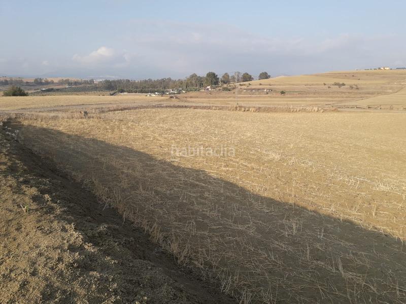 Foto 6551ebe1-4708-4b81-8a5b-f4d6b1366370. Finca rústica finca en venta en cerralba en Coín