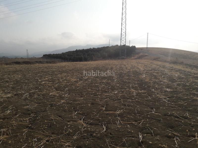 Foto bc09c413-be1c-47c2-b6f5-b9f4e3c7b101. Finca rústica finca en venta en cerralba en Coín