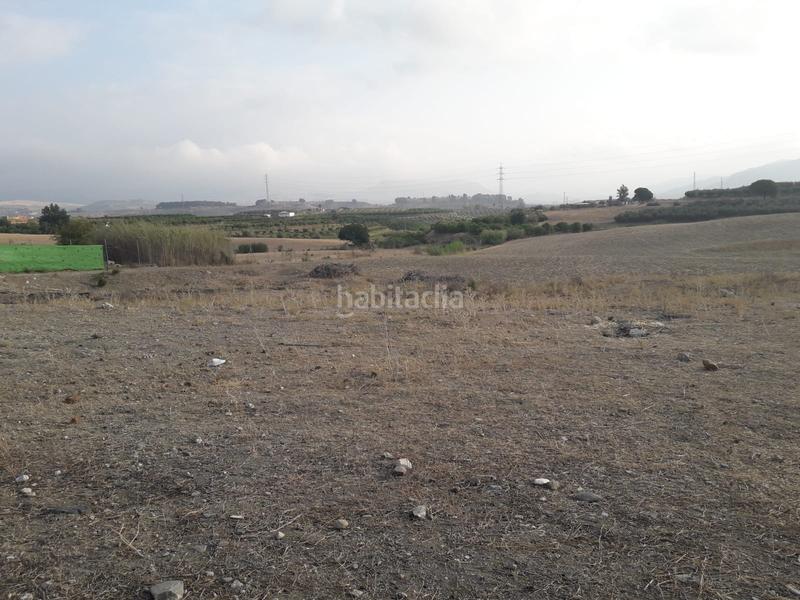 Foto e4c8e95f-5751-4793-930b-1216d0ba59ac. Finca rústica finca en venta en cerralba en Coín