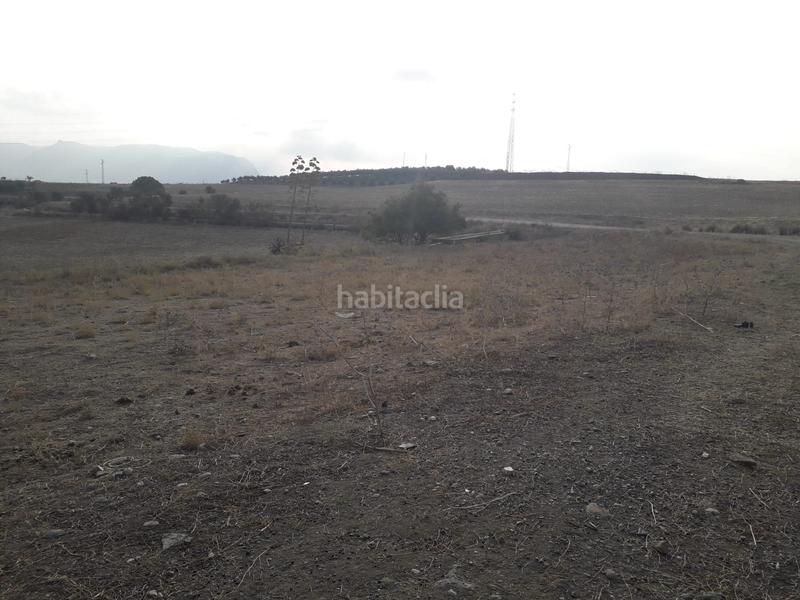 Foto f2fc86dd-27e6-48dd-b8bb-6cfab97836fe. Finca rústica finca en venta en cerralba en Coín