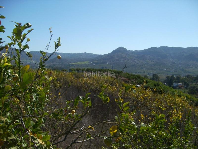 Foto 268cb6ec-c39d-46b6-9389-2516ec4d8349. Finca rústica a Álora