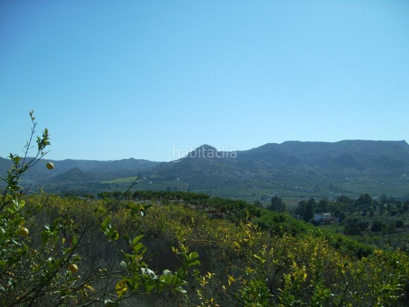 Foto 7cc6f1a0-5528-4bfa-861a-2b6a15d238ad. Finca rústica a Álora