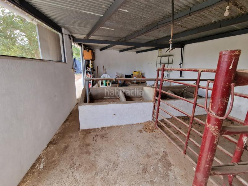 Foto 44c20dc4-e69a-4378-8ad6-77912e5d7408. Propriété dans El Romeral-Peñón de Zapata Alhaurín de la Torre