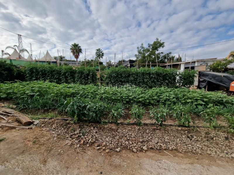 Foto 468d9697-8bd8-4906-8abf-17c23954d507. Propriété dans El Romeral-Peñón de Zapata Alhaurín de la Torre