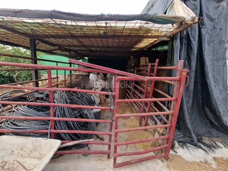 Foto cfaa7757-6799-4c16-a77a-4715fe4515ba. Propriété dans El Romeral-Peñón de Zapata Alhaurín de la Torre