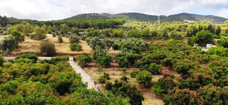 Foto f9c576f0-c9b7-455e-be7b-12d2d3c6914a. Chalet mit kamin parking pool in Monda